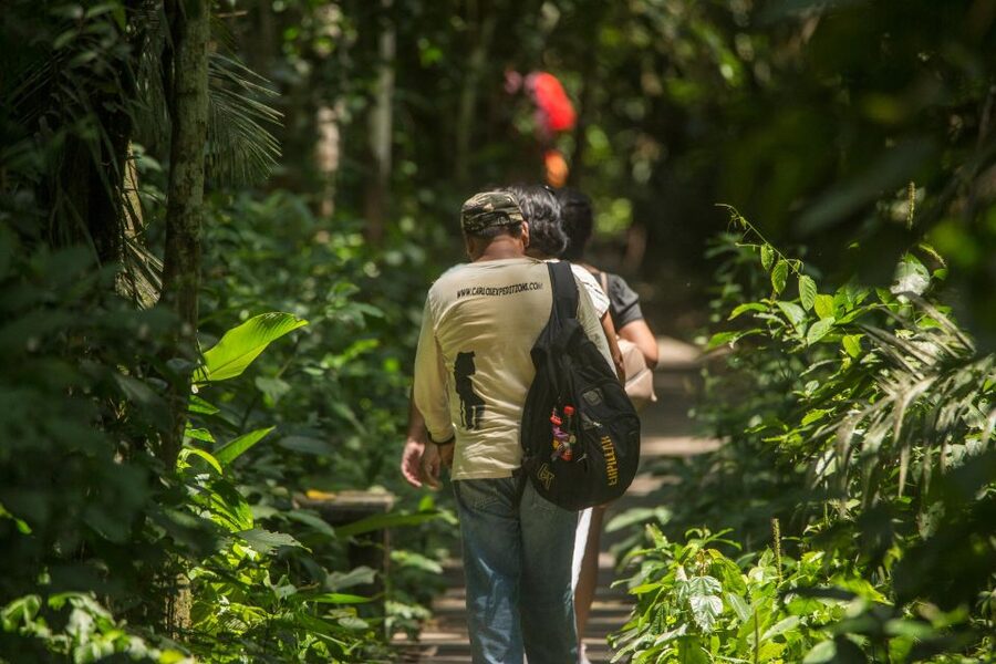 Tambopata Macaw Clay Lick 5 days/4 nights - Who will enjoy this Tambopata program?