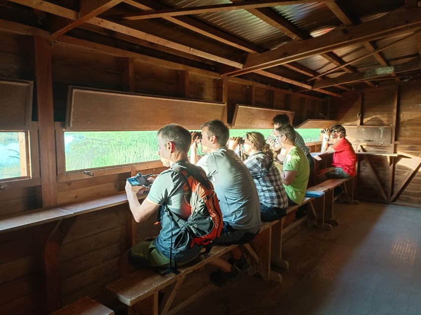 Tarragona: Southern Delta Birdwatching Private Tour - Key points to know before you book