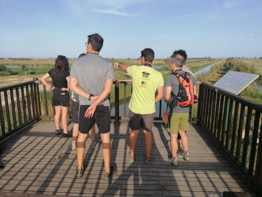 Tarragona: Southern Delta Birdwatching Private Tour - Watching the Encanyissada Lagoon from El Pont del Través
