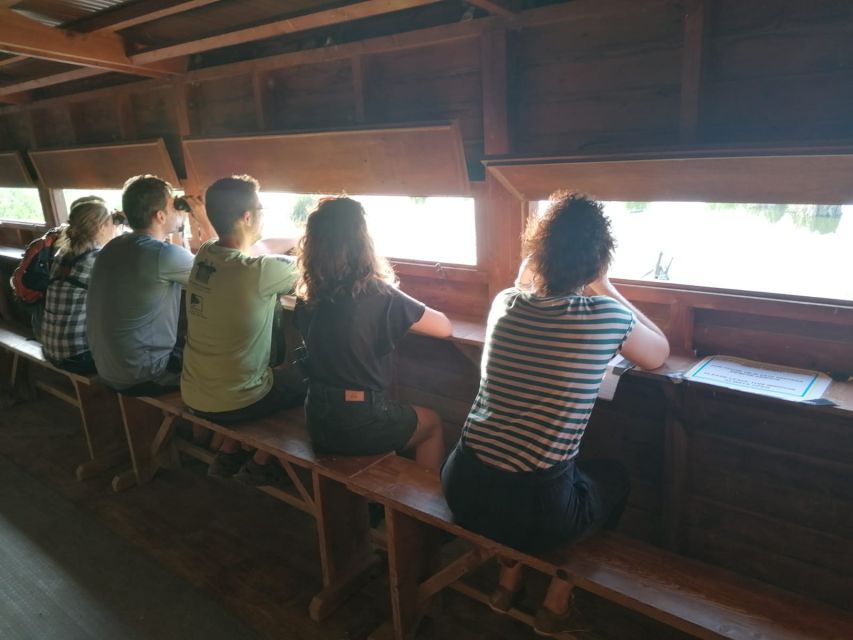 Tarragona: Southern Delta Birdwatching Private Tour - La Tancada Lagoon and the flamingos