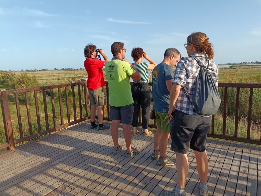 Tarragona: Southern Delta Birdwatching Private Tour - Guides, languages, and what to expect