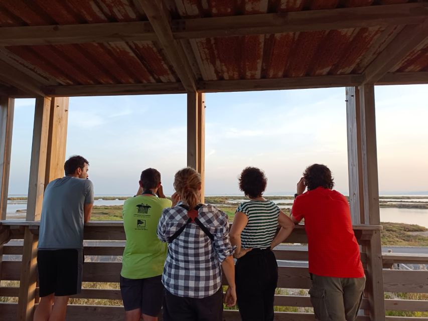 Tarragona: Southern Delta Birdwatching Private Tour - Poble Nou del Delta and its white houses
