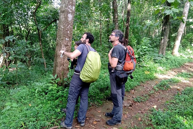 Thattekad Guided Bird Walk. - What the guide adds to the experience