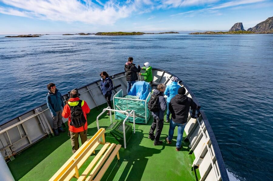 The Bird Safari Tour - Puffins, eagles and the birds you may see