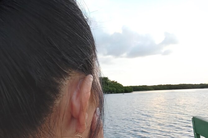 The Scarlet Ibis - Caroni Swamp Tour - Pickup and transport details