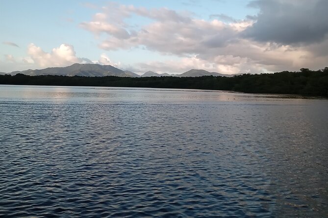 The Scarlet Ibis - Caroni Swamp Tour - Who will enjoy this outing most?