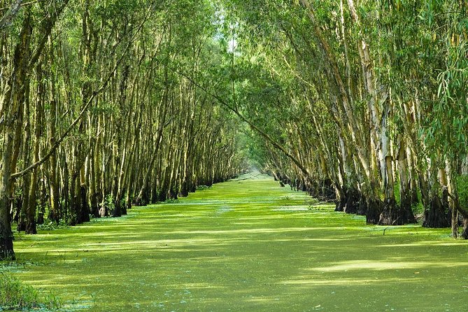 Three-Day Mekong Delta Private Tour - Including Tra Su Bird Sanctuary - Why three days works better than a rushed Mekong visit
