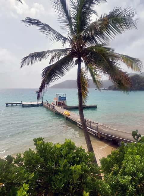 Tobago: Little Tobago Bird Sanctuary Visit and Boat Tour - The glass-bottom boat from Speyside