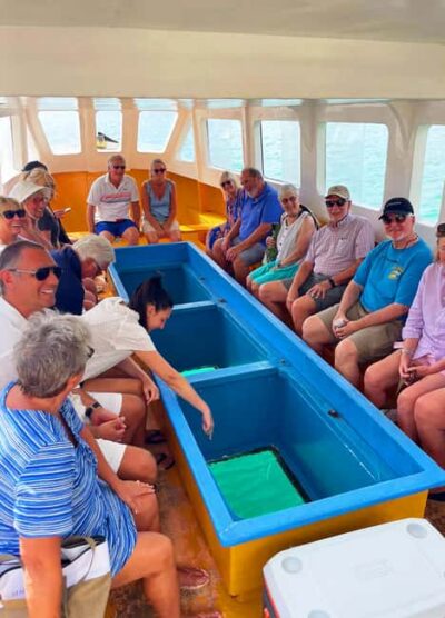 Tobago: Little Tobago Bird Sanctuary Visit and Boat Tour