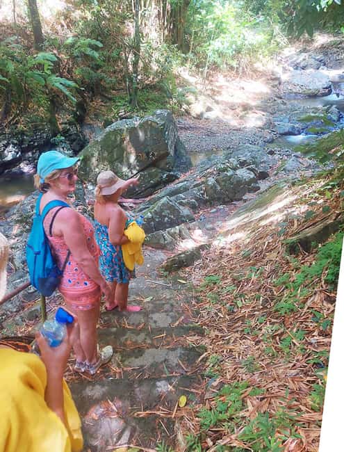 Tobago: Little Tobago Bird Sanctuary Visit and Boat Tour - Argyle Falls brings a forest finish