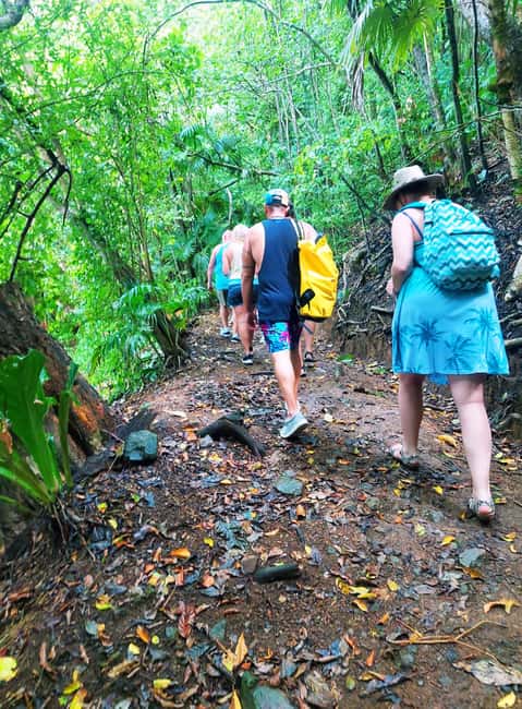 Tobago: Little Tobago Bird Sanctuary Visit and Boat Tour - Guides can shape the whole day