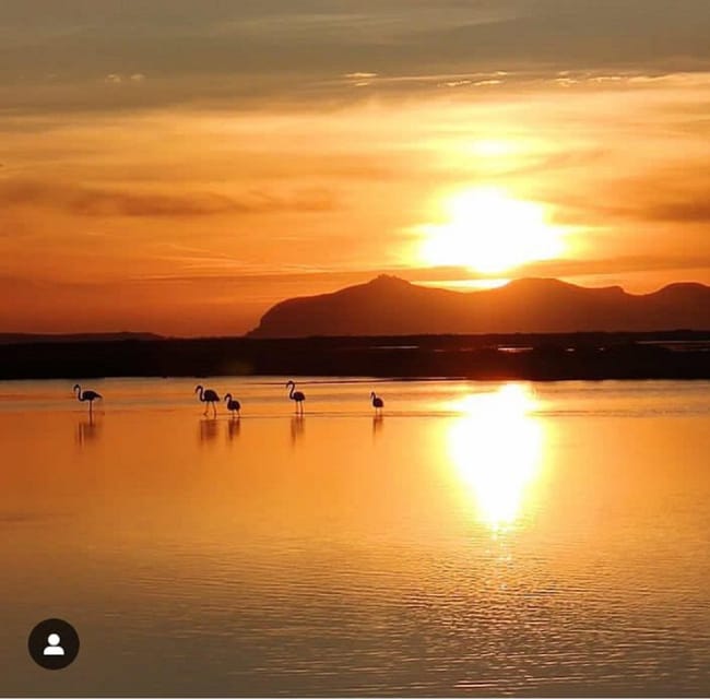 Trapani: Salt Pans Sunset Tour and Flamingo Way - Key points to know