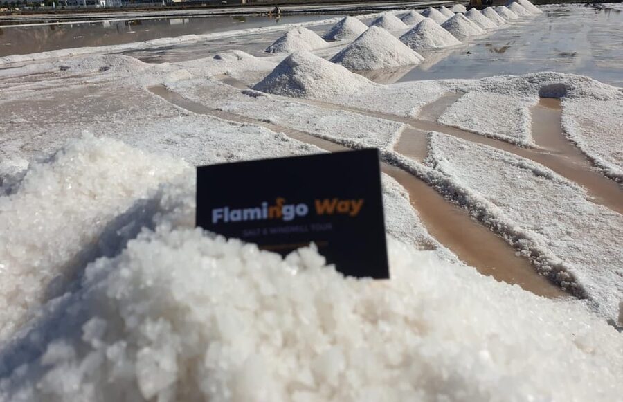 Trapani: Salt Pans Sunset Tour and Flamingo Way - Birdwatching, photography, and the right season