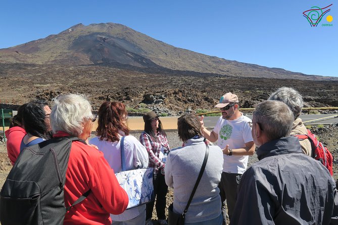 Trekking, wineries, birdwatching, local gastronomy, etc. - A tailor-made Tenerife day, not a fixed sightseeing circuit