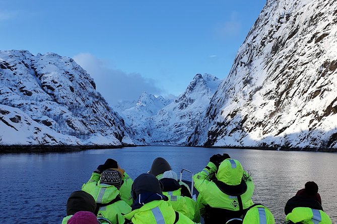 Trollfjord and Sea Eagle Safari Tour from Svolvaer - Why This Svolvær Boat Trip Is More Than a Fjord Cruise