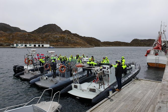 Trollfjord and Sea Eagle Safari Tour from Svolvaer - Is $139.81 Good Value for Two Hours?