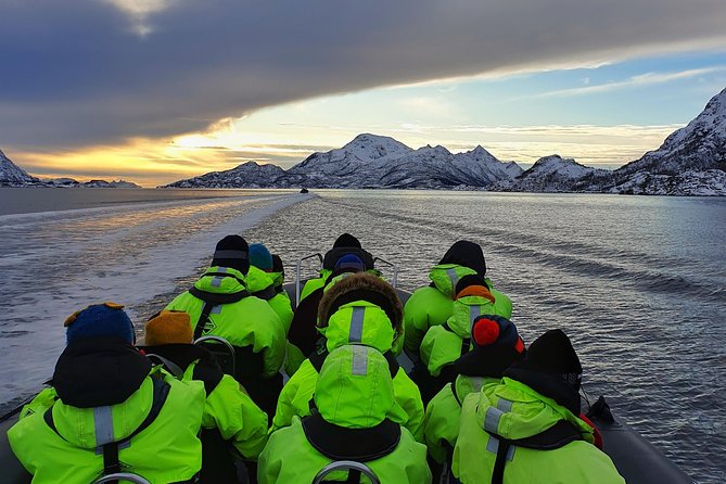 Trollfjord and Sea Eagle Safari Tour from Svolvaer - Racing Along the Coast to Trollfjord