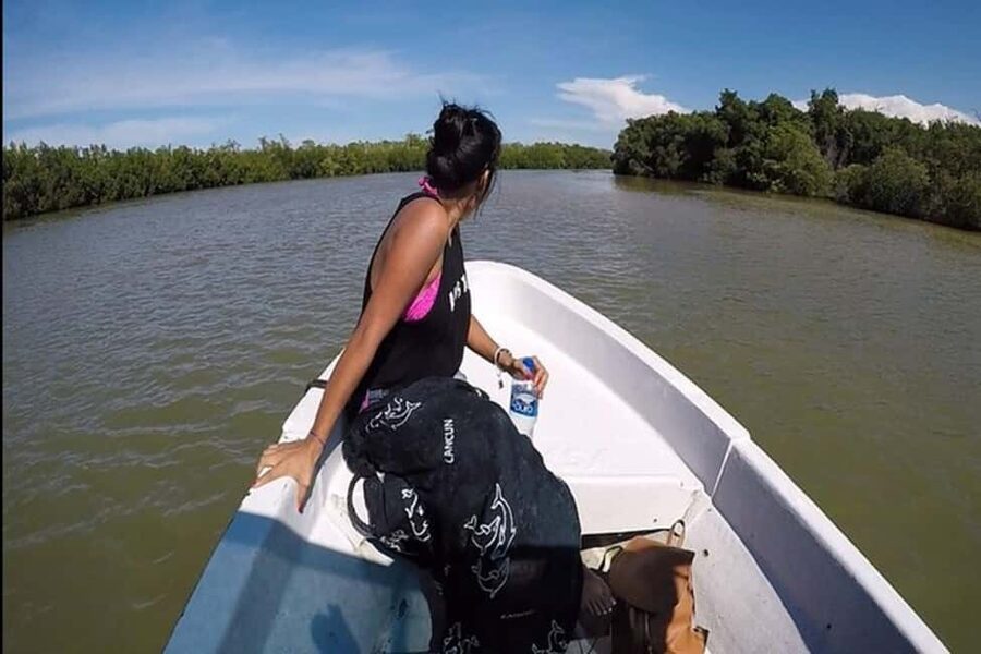 Tulum: Pink Lake, Rio Lagartos, Crocodile Flamingo Adventure - The value of $133 per person