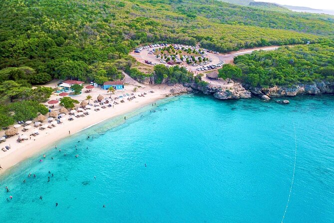 Turtle Swim at TurtleBay visit Flamingos & KnipBeach Safari Truck - Turtle Bay puts wildlife first