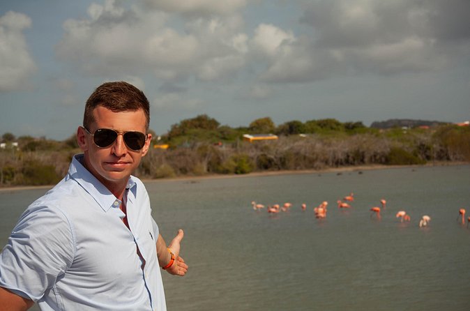 Turtles, Beach and Flamingo in Curacao Private photoshoot Tour - The missing Playa Lagun question