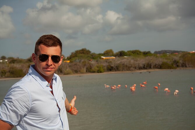 Turtles, Beach and Flamingo in Curacao Private photoshoot Tour - What the private photographer adds