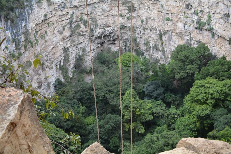 Tuxtla Gutiérrez: Sinkhole of Parrots Full-Day Rappel - Who should book this experience?