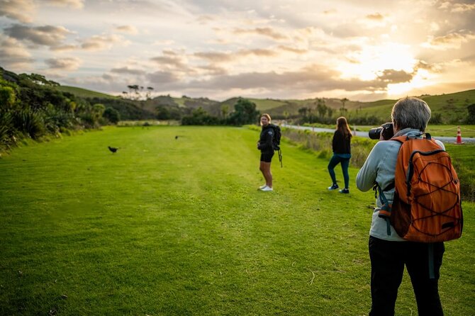 Twilight Wild Kiwi Bird Encounter Private Tour - Why this kiwi encounter is special