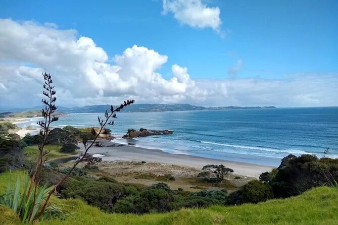 Twilight Wild Kiwi Bird Encounter Private Tour - What you may actually see