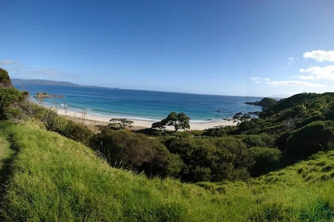 Twilight Wild Kiwi Bird Encounter Private Tour - How the $589.54 price earns its keep
