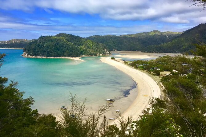 Twilight Wild Kiwi Bird Encounter Private Tour - Who should book this evening