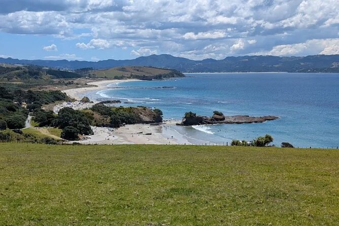 Twilight Wild Kiwi Bird Encounter Private Tour - Weather, timing, and practical comfort