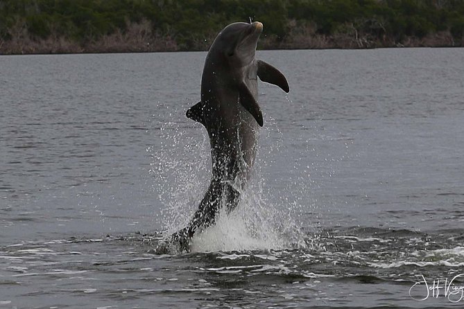 Two-Hour Everglades Dolphin, Manatee and Birding Boat Tour - Entering the 10,000 Islands by small boat