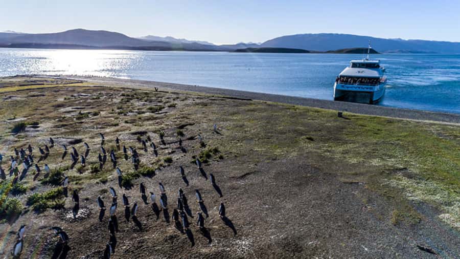 Ushuaia: Beagle Channel and Penguin Island - Who will enjoy this cruise most
