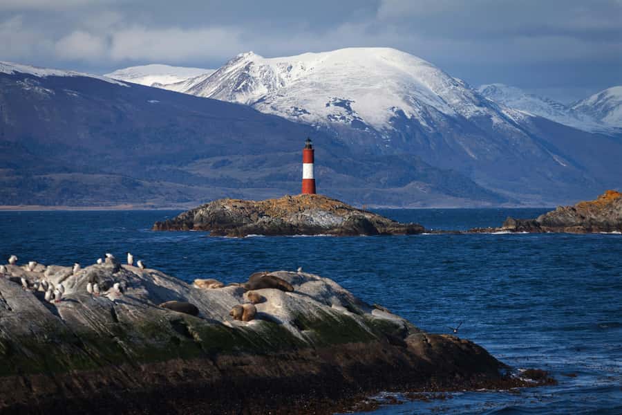 Ushuaia: Beagle Channel Boat Tour and Penguin Experience - Key points to know before you book