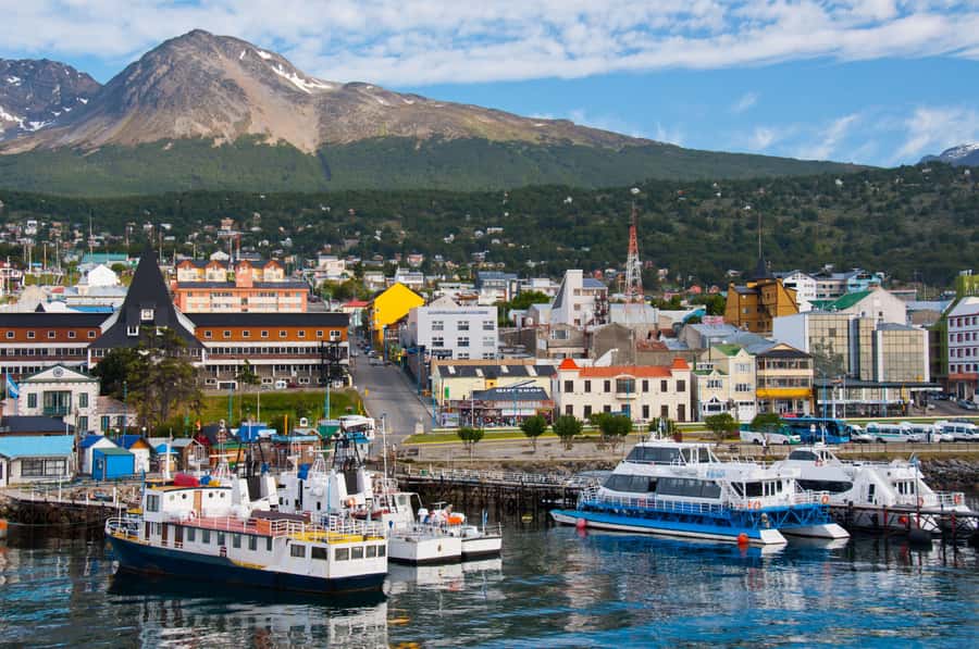 Ushuaia: Beagle Channel Boat Tour and Penguin Experience - One hour with Magellanic and Gentoo penguins