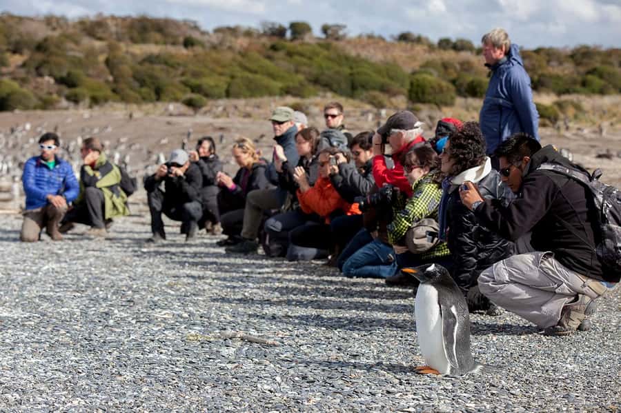 Ushuaia: Beagle Channel Boat Tour and Penguin Experience - Who will enjoy this outing most?