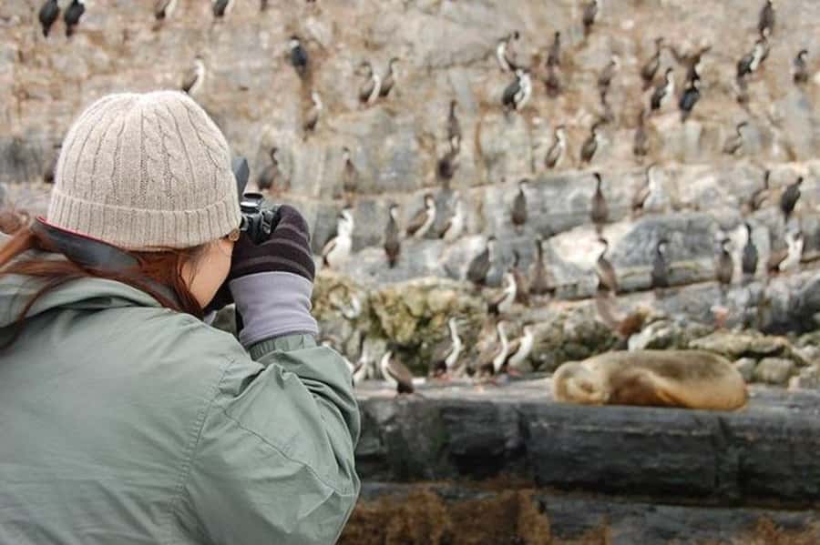 Ushuaia: Beagle Channel Penguin Colony Tour - Who will enjoy this Beagle Channel trip?