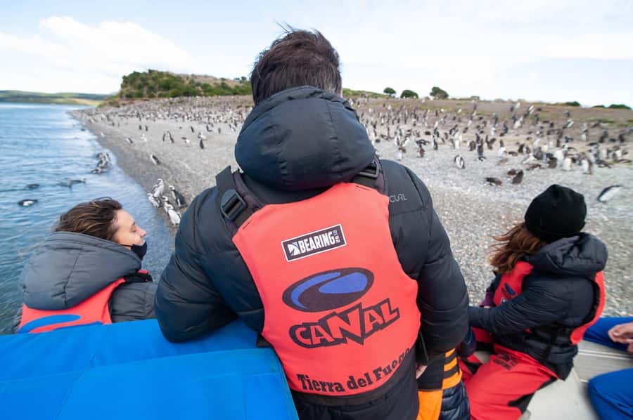 Ushuaia: Gable Island and Penguin Colony with Lunch - Paddling into the Beagle Channel