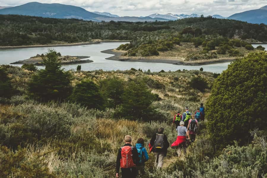 Ushuaia: Gable Island and Penguin Colony with Lunch - Martillo Island and its penguin colony