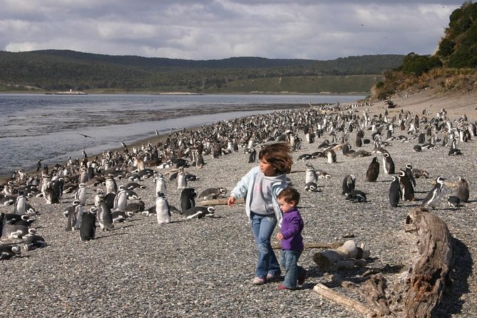 Ushuaia: Martillo Island and Walk Among Penguins Full-Day Tour - The End of the World lighthouse