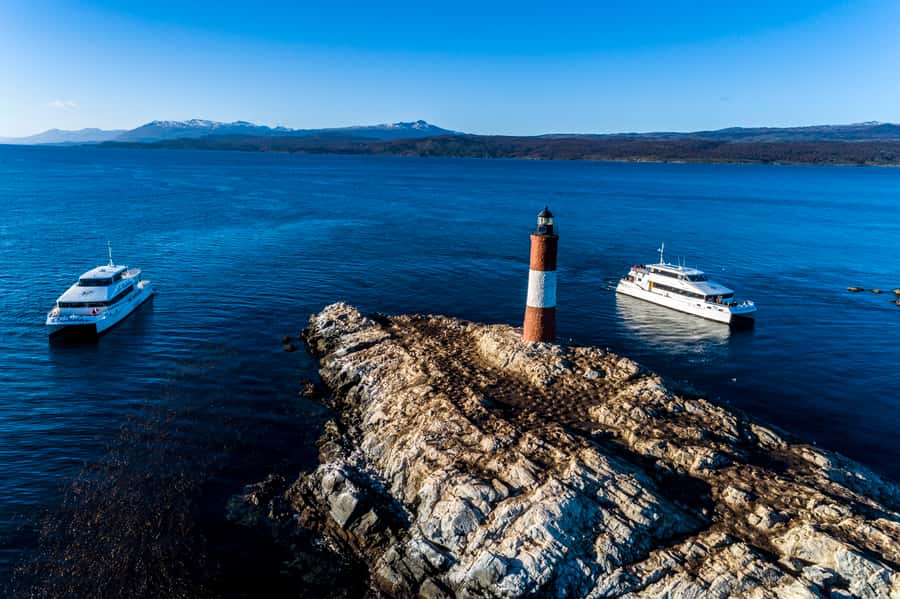 Ushuaia: Penguin Watching Tour by Catamaran - Key points to know before you book