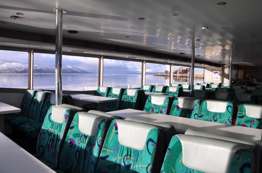 Ushuaia: Penguin Watching Tour by Catamaran - Weather, comfort, and what to bring