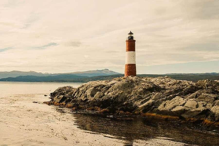 Ushuaia: Sailing Beagle Channel to the Penguin Colony - Key points to know before booking