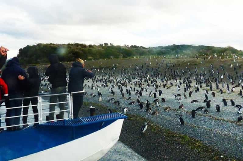 Ushuaia: Sailing Beagle Channel to the Penguin Colony - Les Eclaireurs Lighthouse in the Beagle Channel