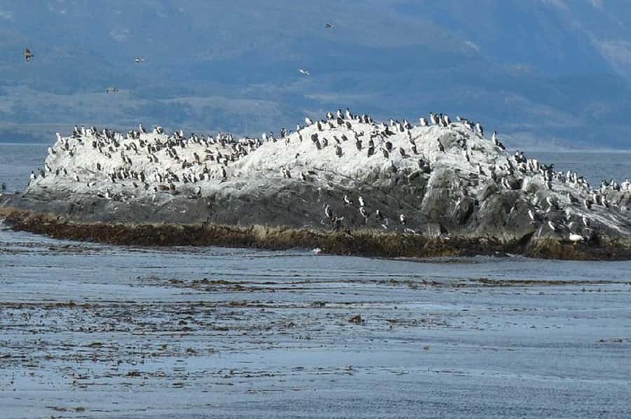 Ushuaia: Sailing Beagle Channel to the Penguin Colony - Gable Island and the view toward Puerto Williams