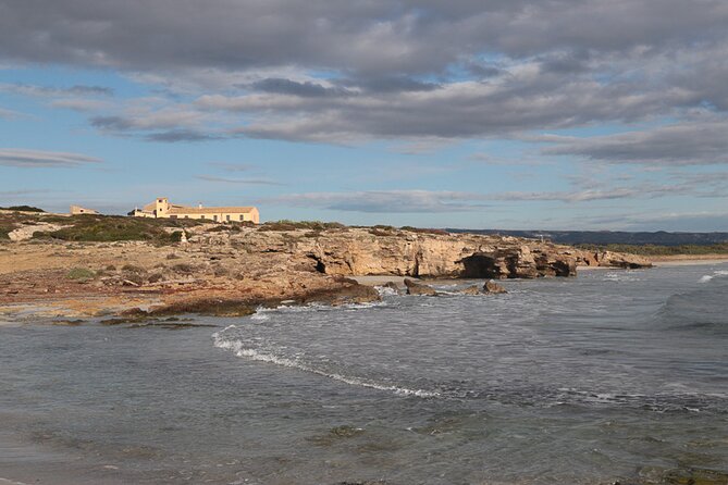 Vendicari private visit 3 hours The Bird Hotel. - Mediterranean plants around the salt marsh