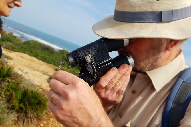 Vendicari - Sicily's best coast nature reserve ( Birdwatching & Archeology ) - Roman mosaics at the coastal villa