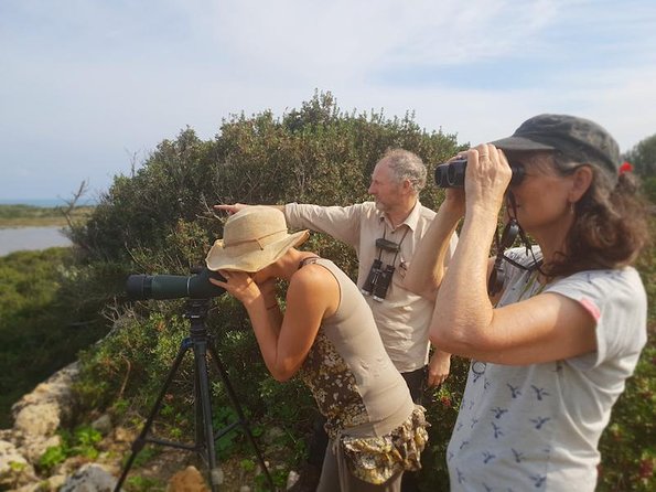 Vendicari - Sicily's best coast nature reserve ( Birdwatching & Archeology ) - Weather, pace, and what to bring