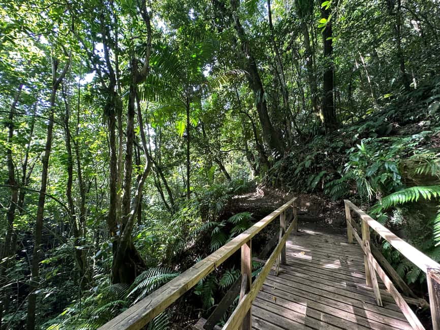 Vermont Nature Trail and Bird Watching Tour - Key points to know before booking