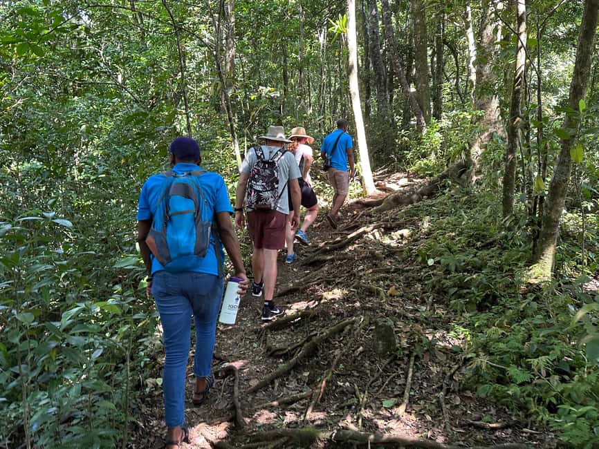 Vermont Nature Trail and Bird Watching Tour - A swim in the Vermont River